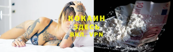 jwh Гусь-Хрустальный