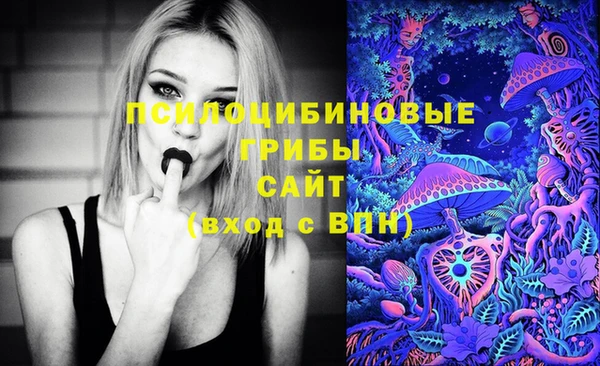 гидропоника Гусев