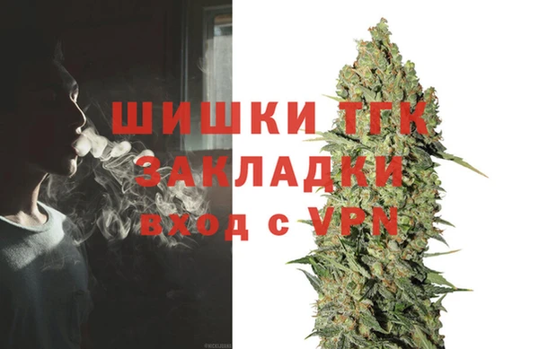 гидропоника Гусев