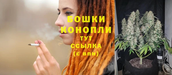 гидропоника Гусев